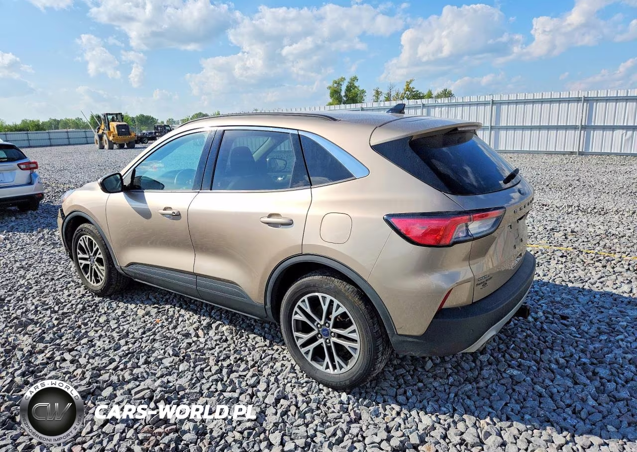 2020 Ford Escape Sel VIN:1FMCU9H90LUA49166 - 2