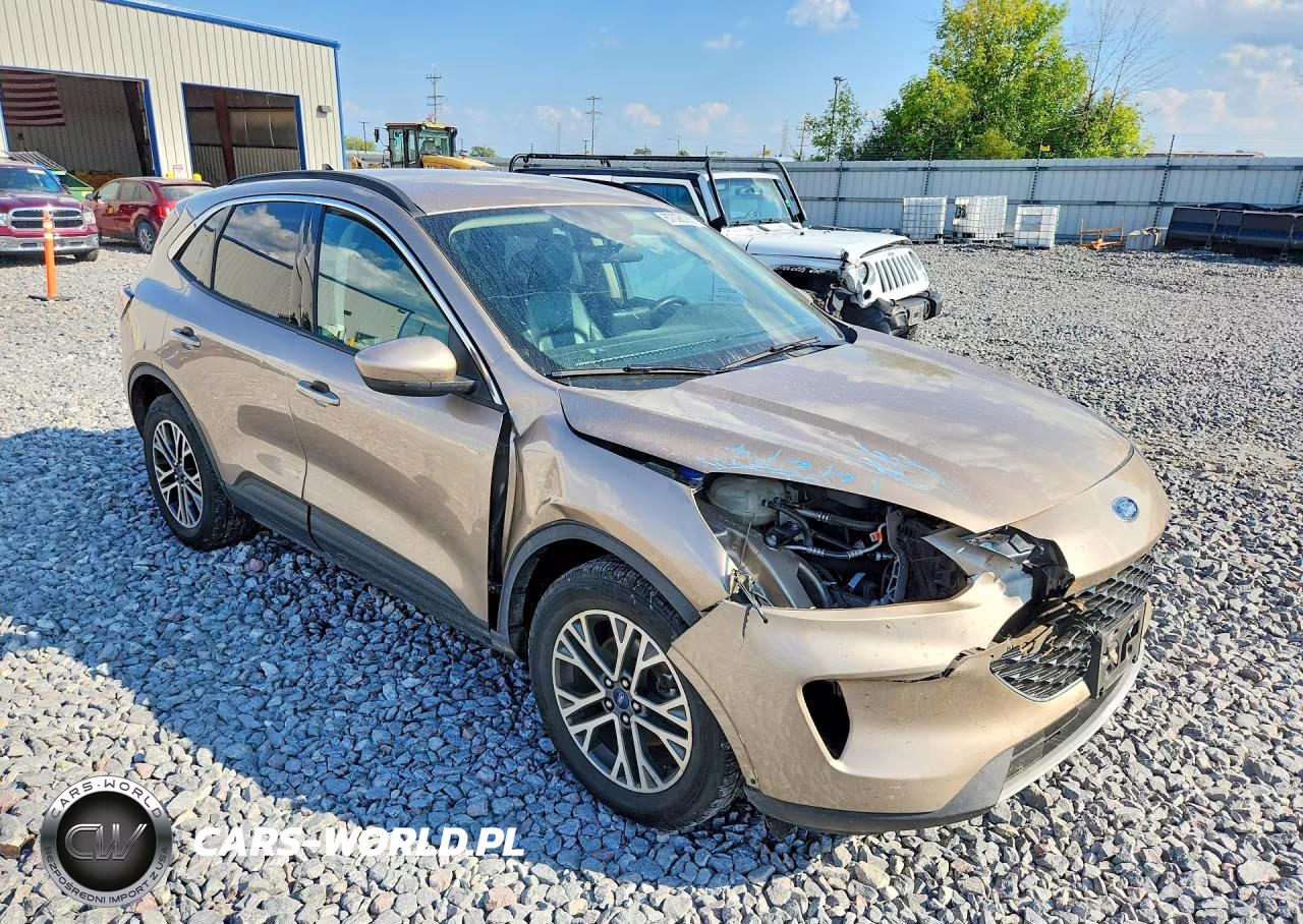 2020 Ford Escape Sel VIN:1FMCU9H90LUA49166 - 4