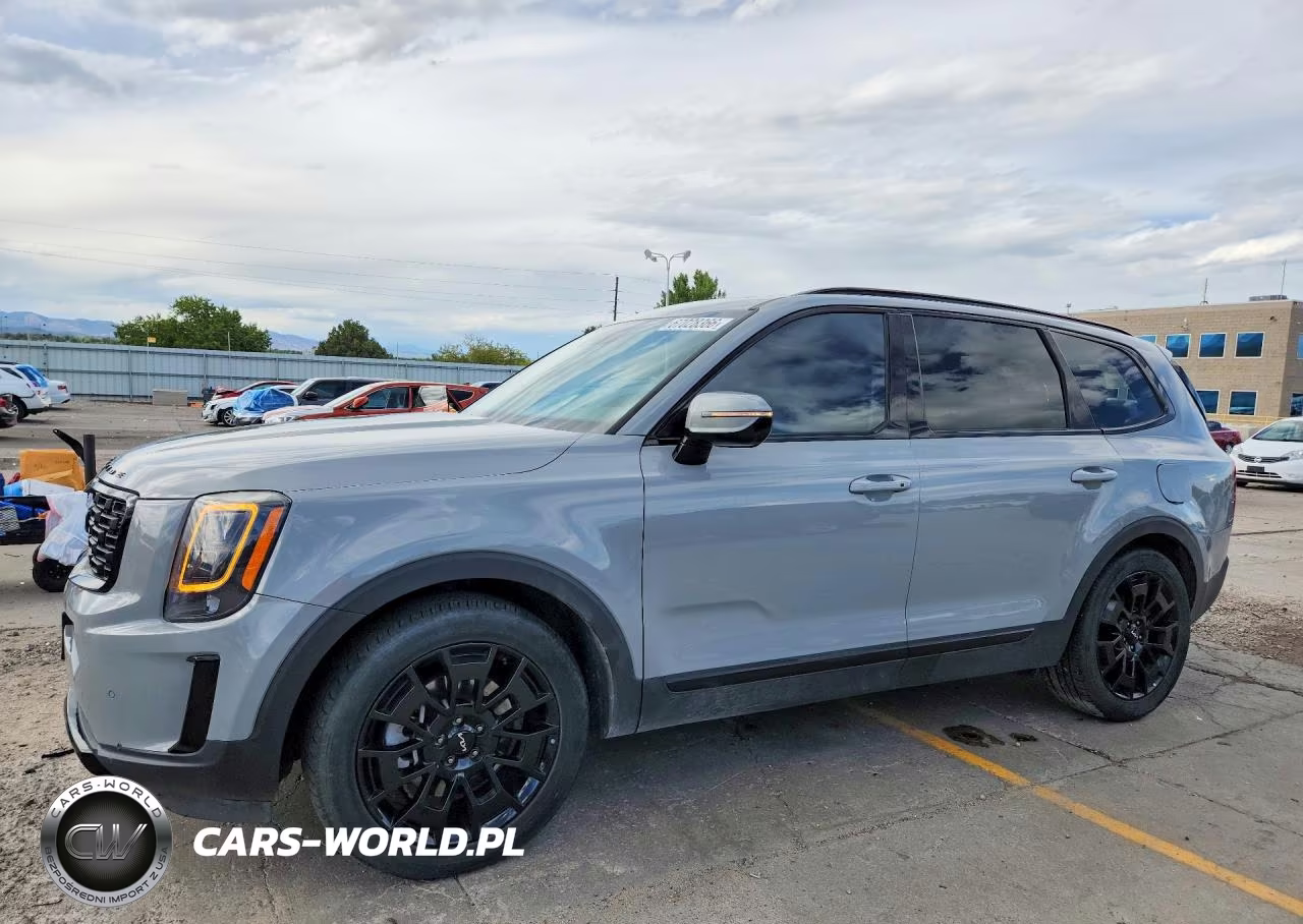 2022 Kia Telluride Sx VIN:5XYP5DHC5NG275600 - 1