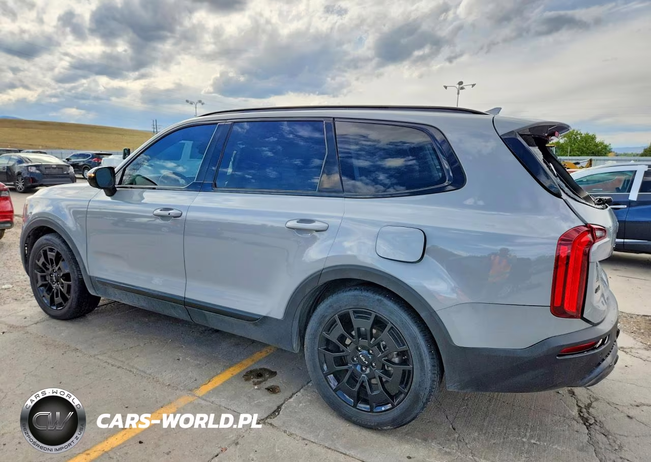 2022 Kia Telluride Sx VIN:5XYP5DHC5NG275600 - 2