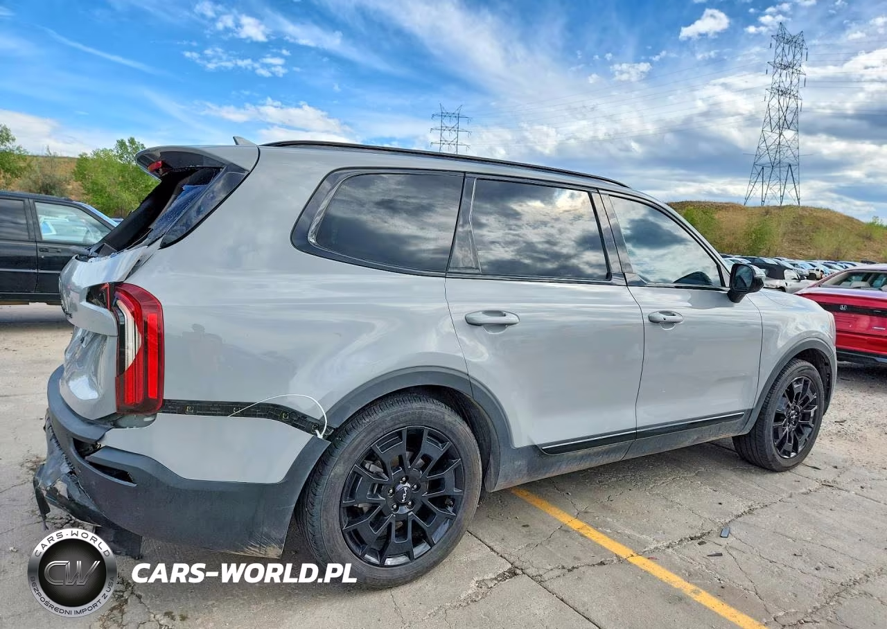 2022 Kia Telluride Sx VIN:5XYP5DHC5NG275600 - 3