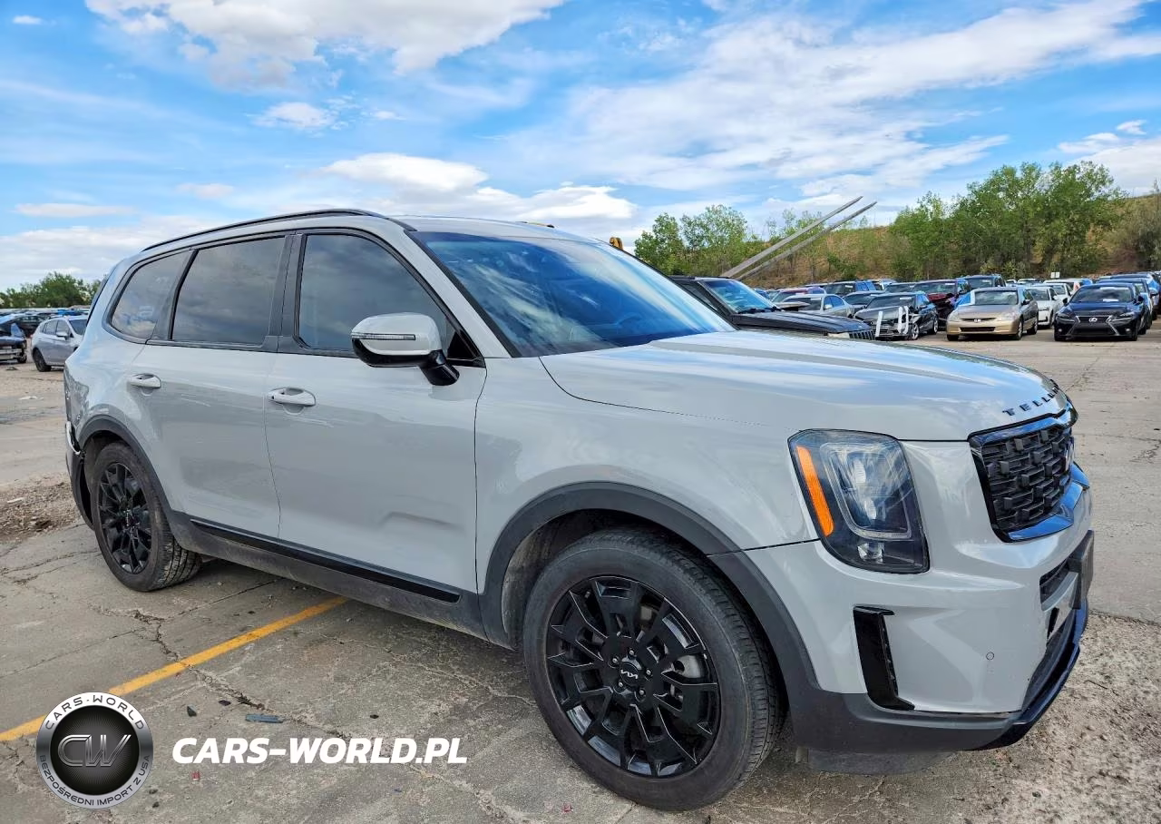 2022 Kia Telluride Sx VIN:5XYP5DHC5NG275600 - 4