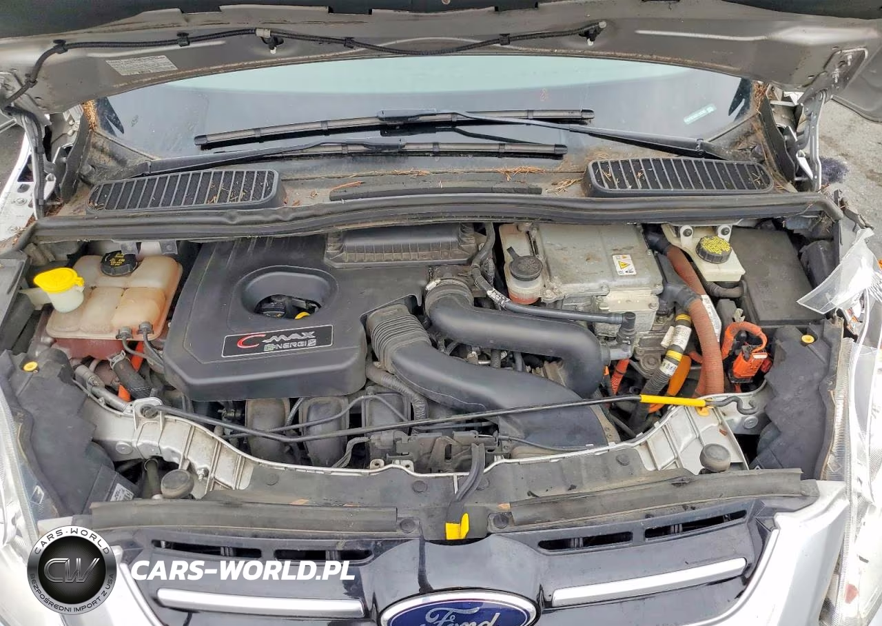 2015 Ford C-Max Premium Sel VIN:1FADP5CUXFL110303 - 11