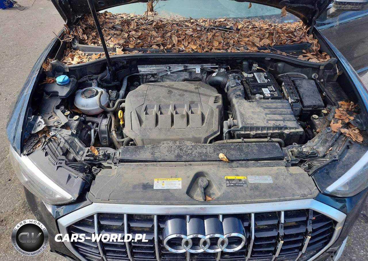 2021 Audi Q3 Premium 40 VIN:WA1AUCF39M1095101 - 12