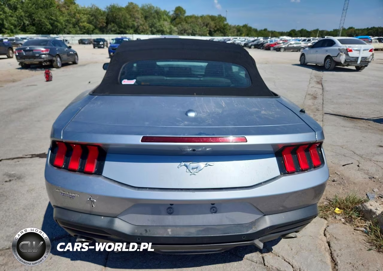 2024 Ford Mustang VIN:1FAGP8UH6R5106662 - 6