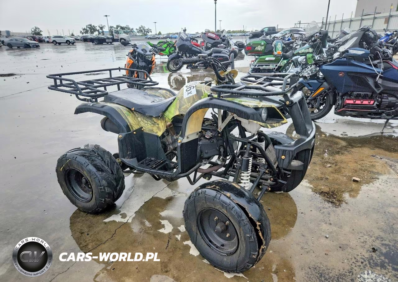 2012 Shandong Liangzi Power Atv – zdjęcie 1 z 10