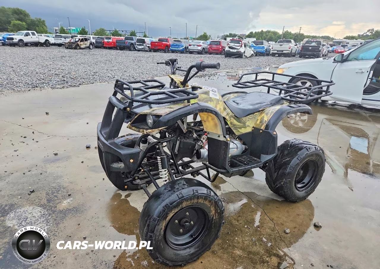 2012 Shandong Liangzi Power Atv VIN:L6FAXJAT7B0000065 - 2