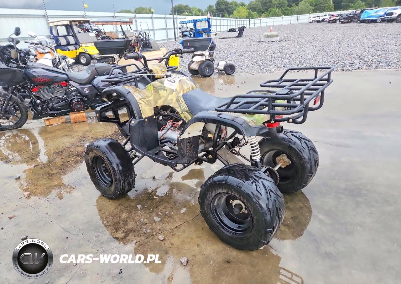 2012 Shandong Liangzi Power Atv VIN:L6FAXJAT7B0000065 - 3