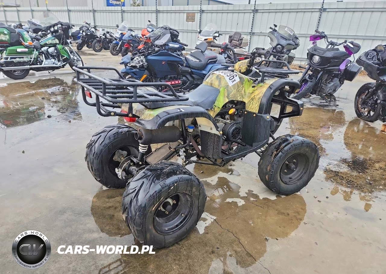 2012 Shandong Liangzi Power Atv VIN:L6FAXJAT7B0000065 - 4
