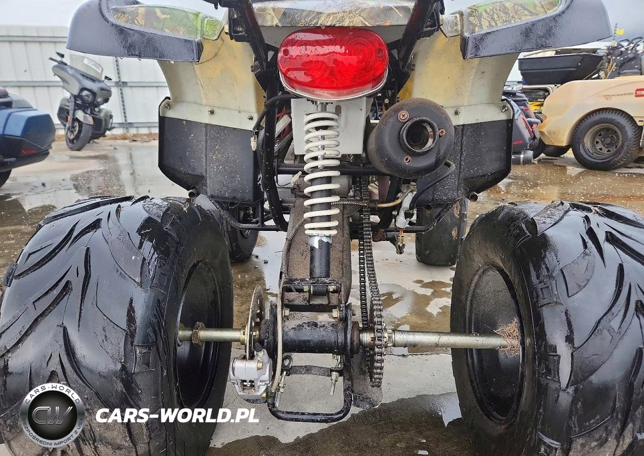 2012 Shandong Liangzi Power Atv VIN:L6FAXJAT7B0000065 - 6