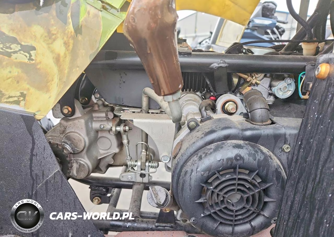 2012 Shandong Liangzi Power Atv VIN:L6FAXJAT7B0000065 - 7