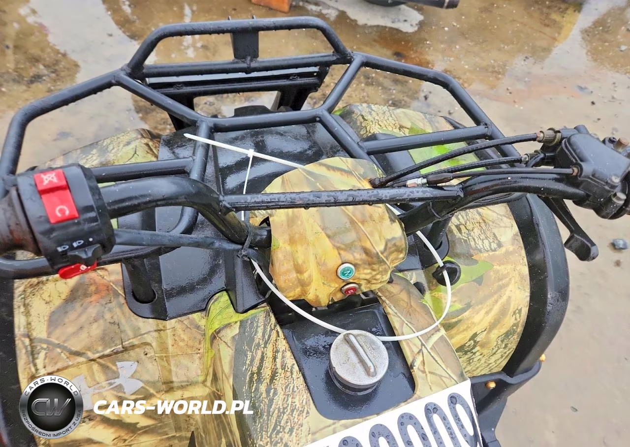 2012 Shandong Liangzi Power Atv VIN:L6FAXJAT7B0000065 - 8