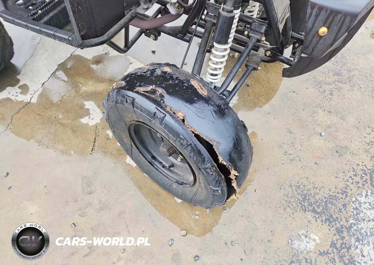 2012 Shandong Liangzi Power Atv VIN:L6FAXJAT7B0000065 - 9