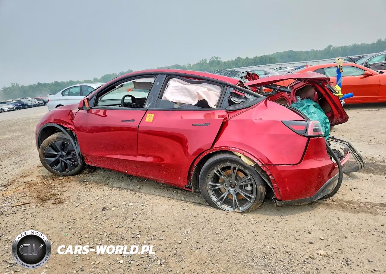 2024 Tesla Model Y VIN:7SAYGDED1RF096398 - 2