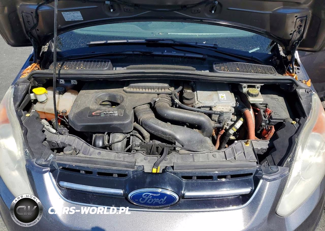 2013 Ford C-Max Premium VIN:1FADP5CU2DL508523 - 12