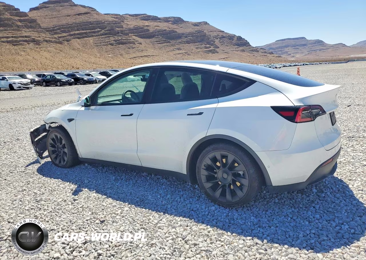 2021 Tesla Model Y VIN:5YJYGDEE3MF119775 - 2