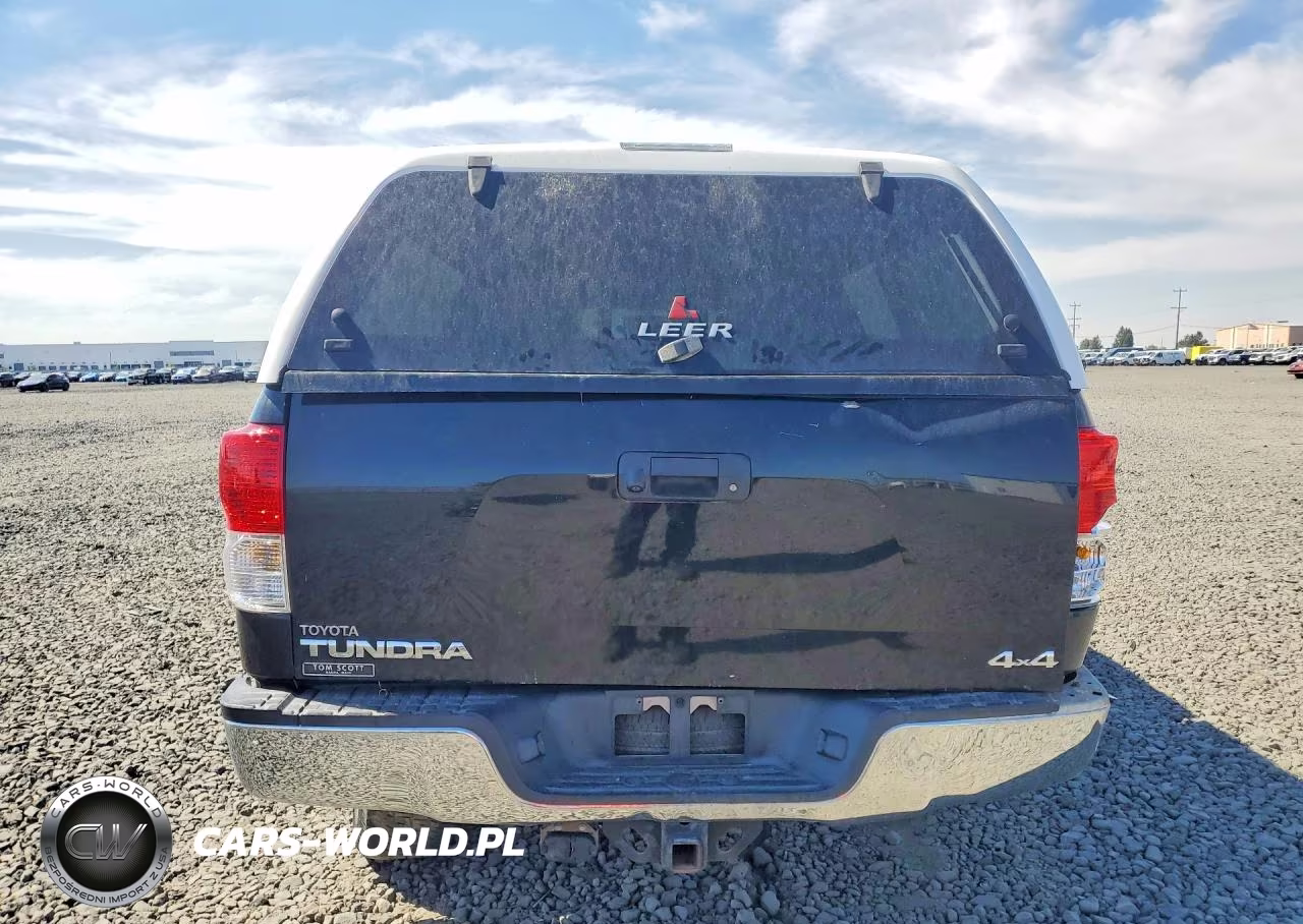 2010 Toyota Tundra Double Cab Sr5 VIN:5TFUY5F12AX128076 - 6