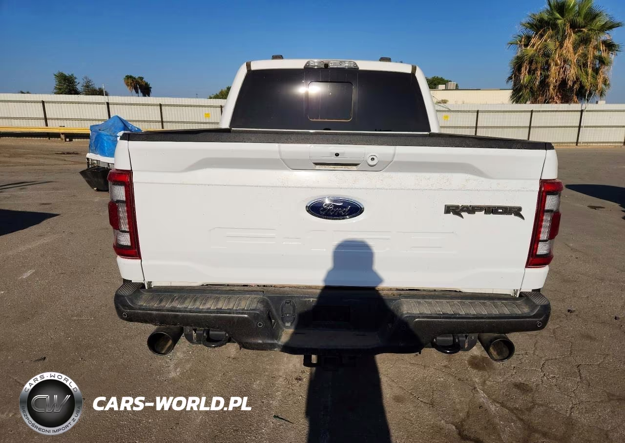 2022 Ford F150 Raptor VIN:1FTFW1RG8NFC44899 - 6