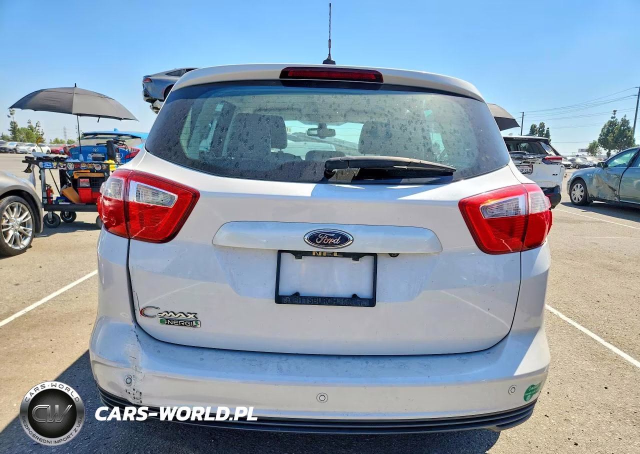 2013 Ford C-Max Premium VIN:1FADP5CU9DL521320 - 6