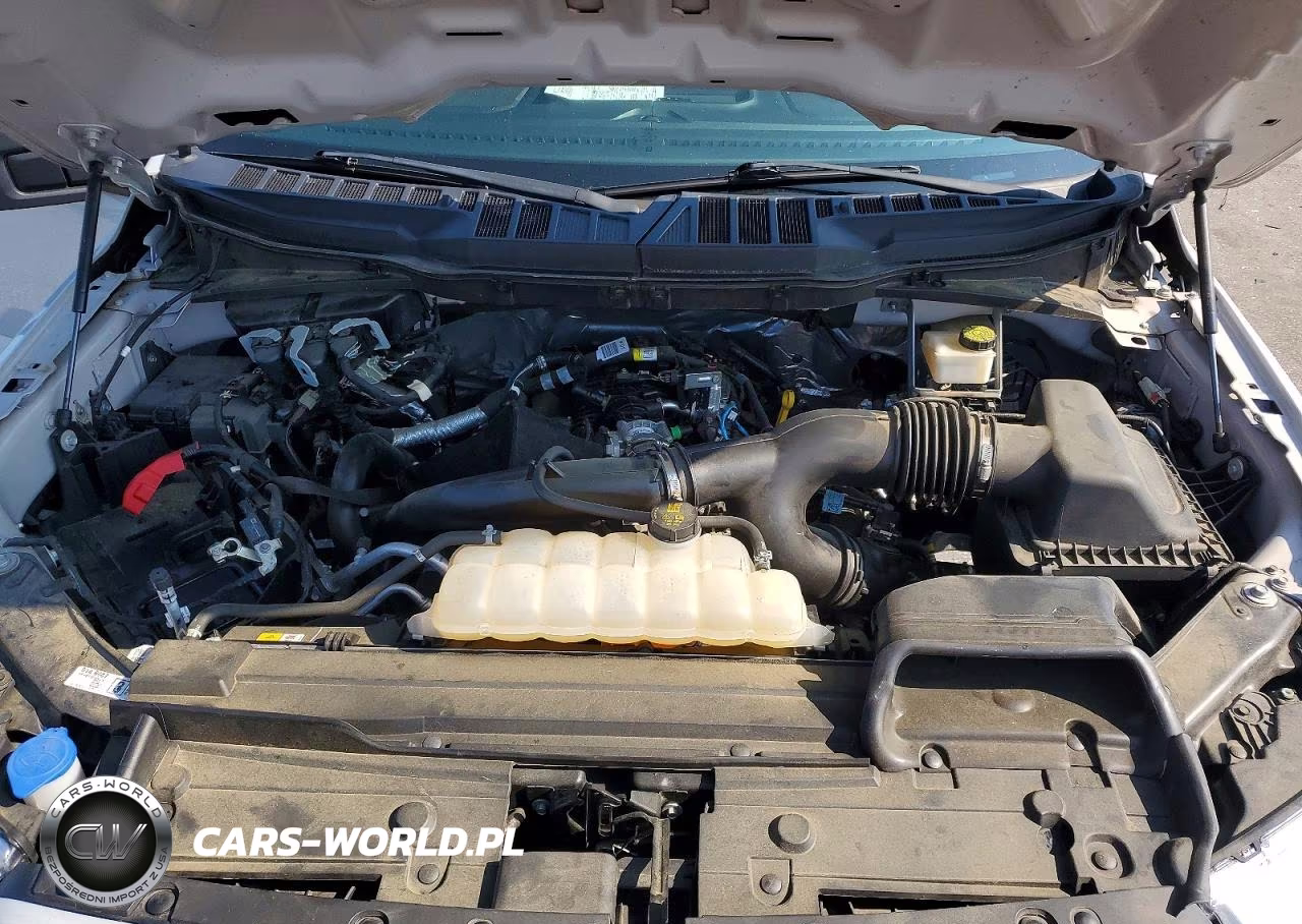 2022 Ford F150 Supercrew VIN:1FTEW1CP8NKD17443 - 11
