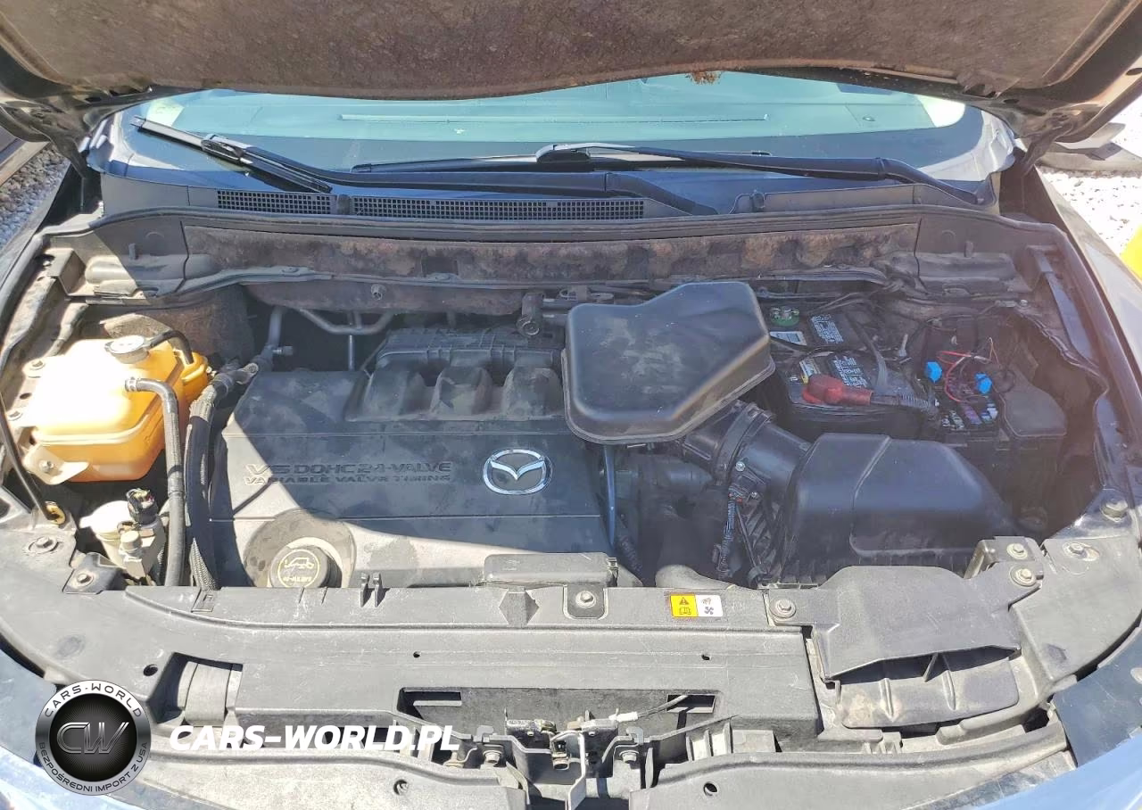 2012 Mazda Cx-9 VIN:JM3TB2CA5C0344619 - 12