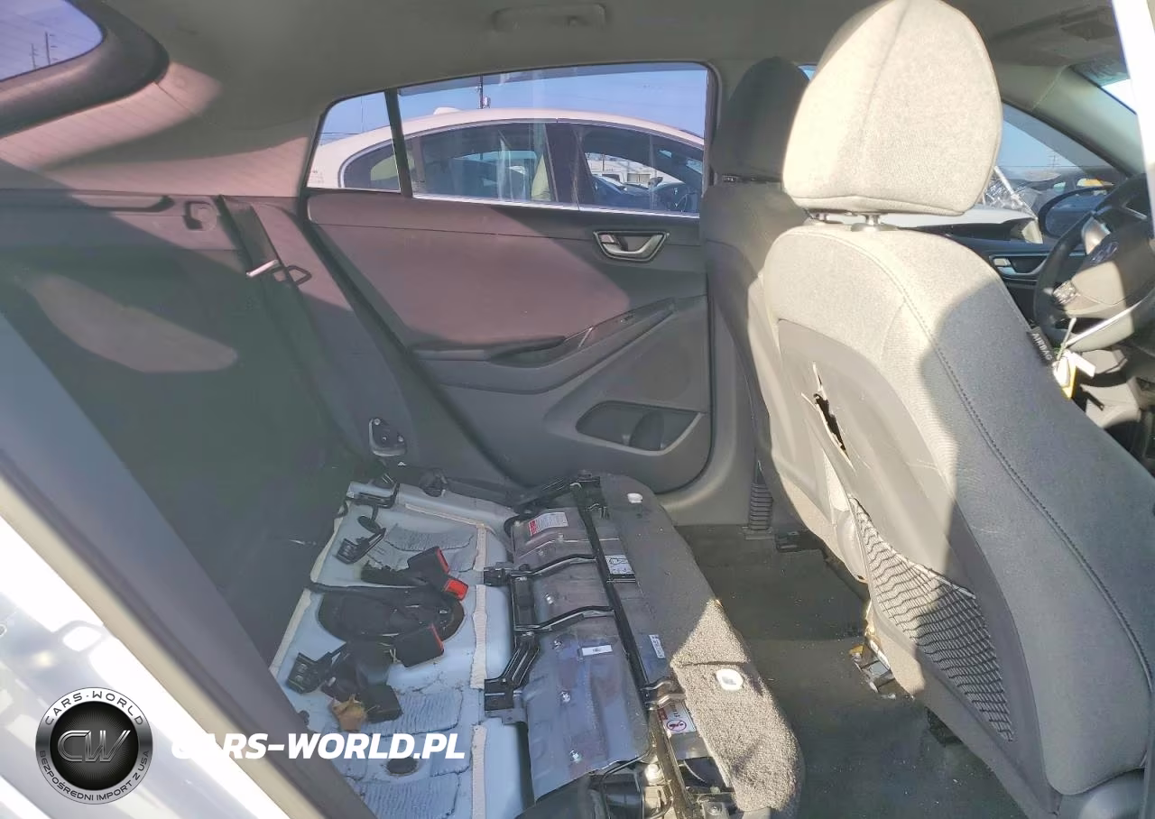 2020 Hyundai Ioniq Blue VIN:KMHC65LC0LU238048 - 10