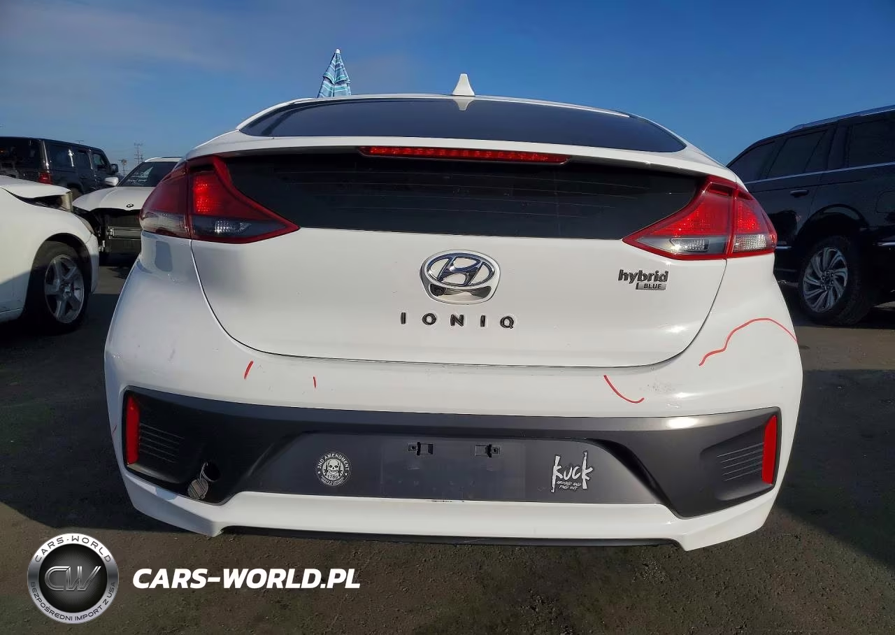 2020 Hyundai Ioniq Blue VIN:KMHC65LC0LU238048 - 6