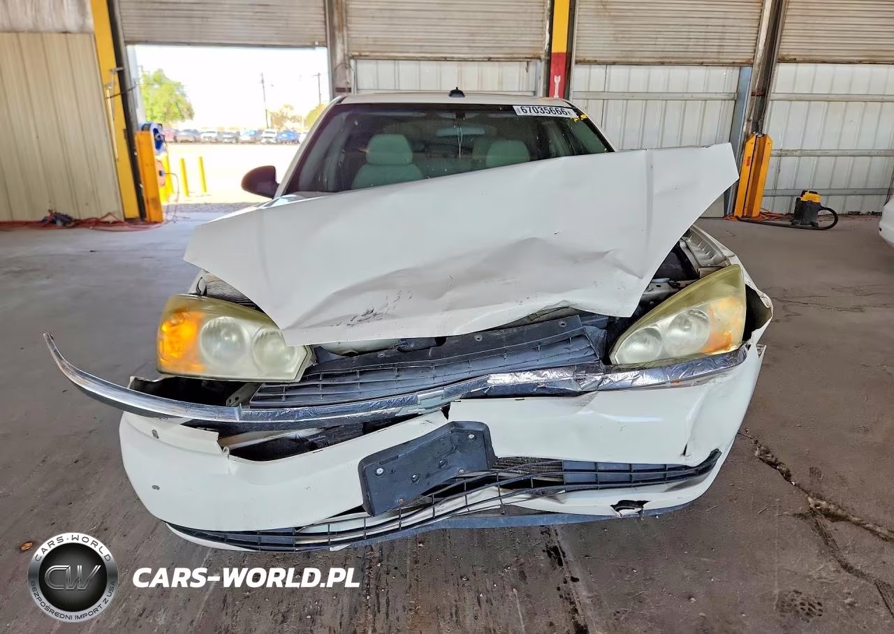 2005 Chevrolet Malibu Maxx Ls VIN:1G1ZT64895F196342 - 5