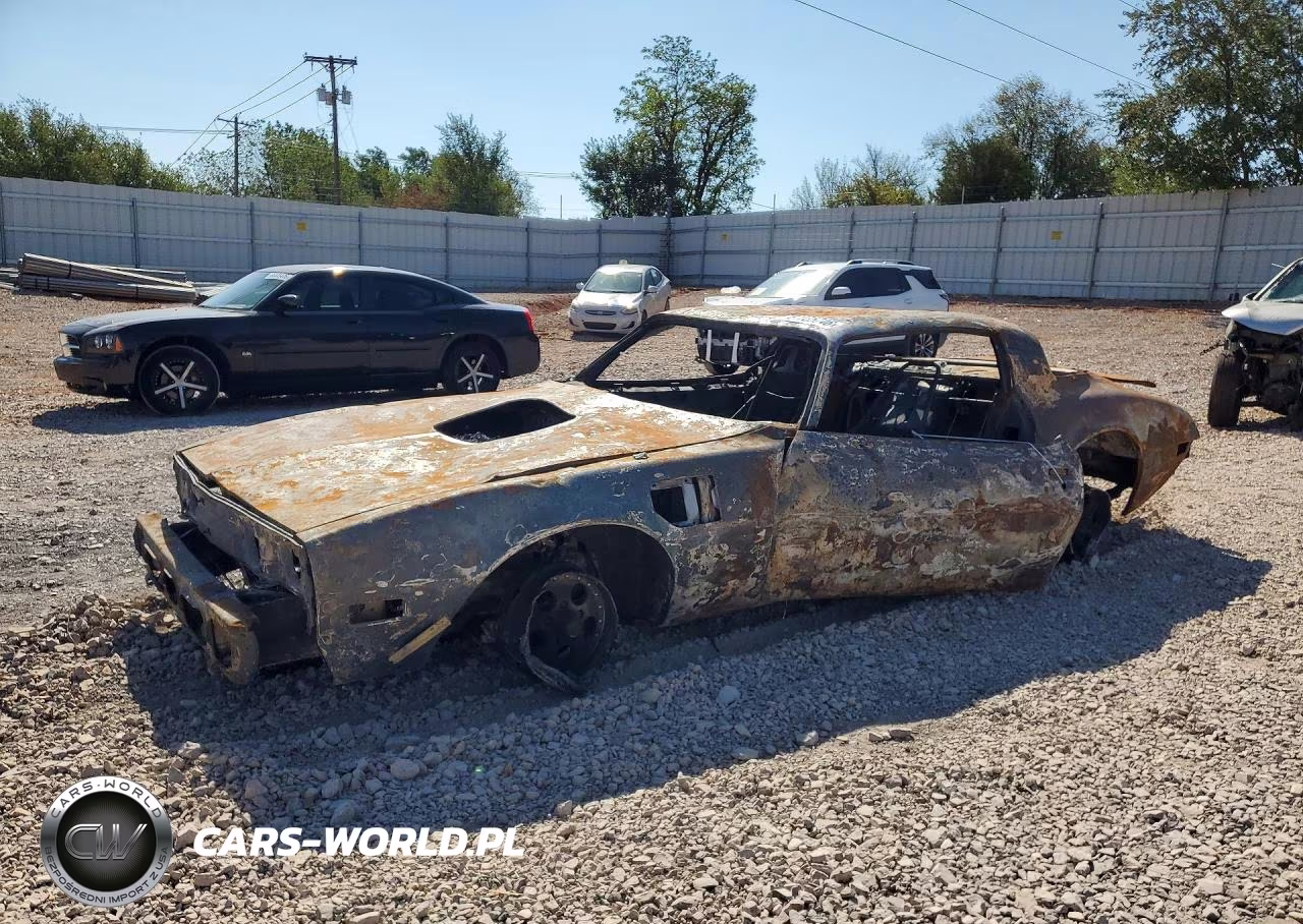 1981 Pontiac Firebird Trans Am