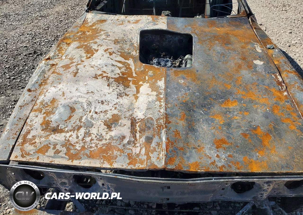 1981 Pontiac Firebird Trans Am VIN:1G2AW87W2BL103910 - 11