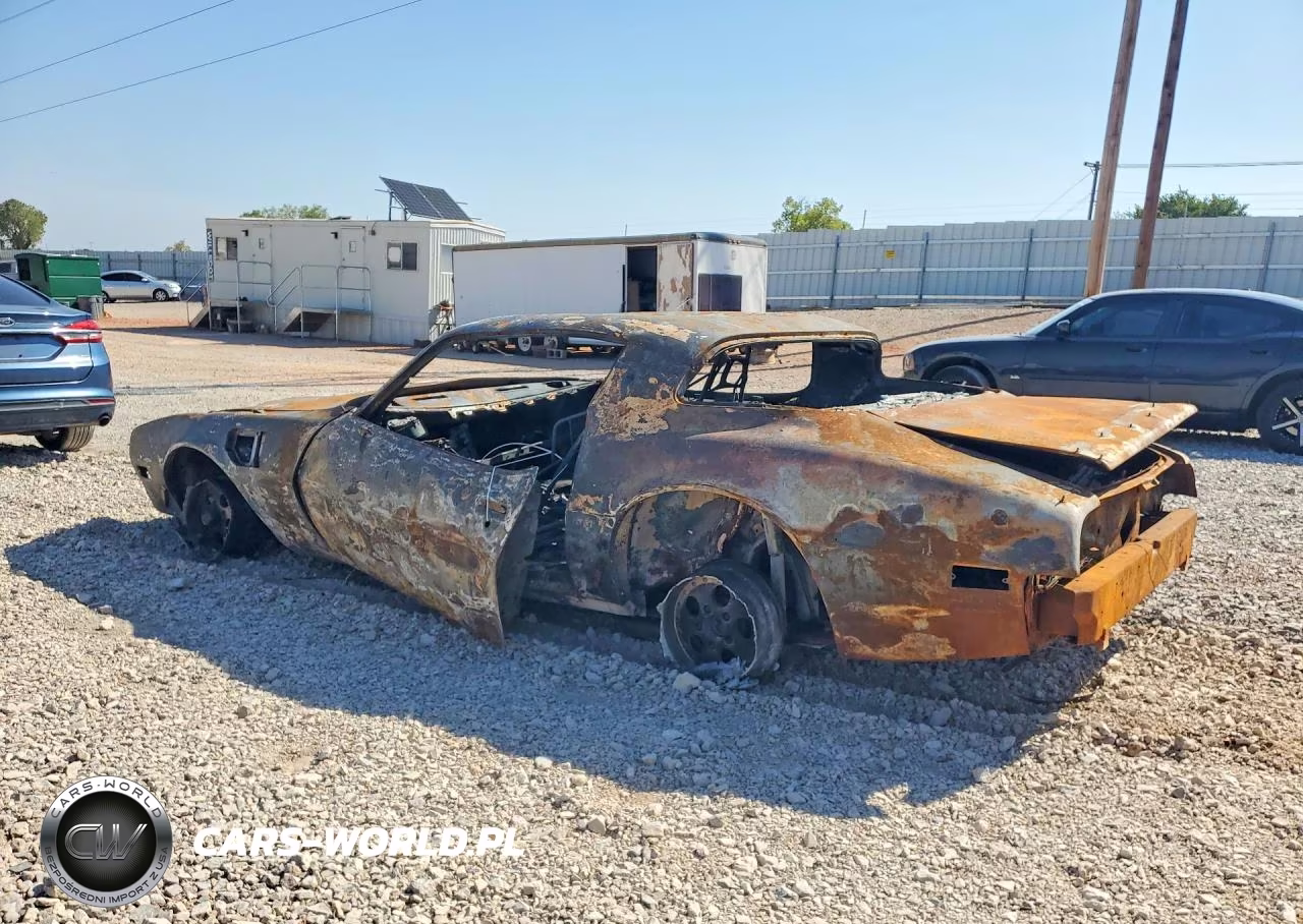 1981 Pontiac Firebird Trans Am VIN:1G2AW87W2BL103910 - 2