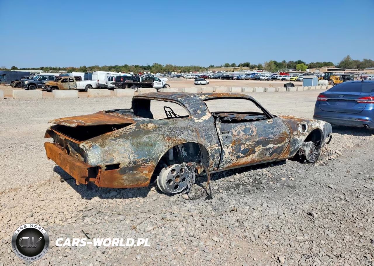 1981 Pontiac Firebird Trans Am VIN:1G2AW87W2BL103910 - 3