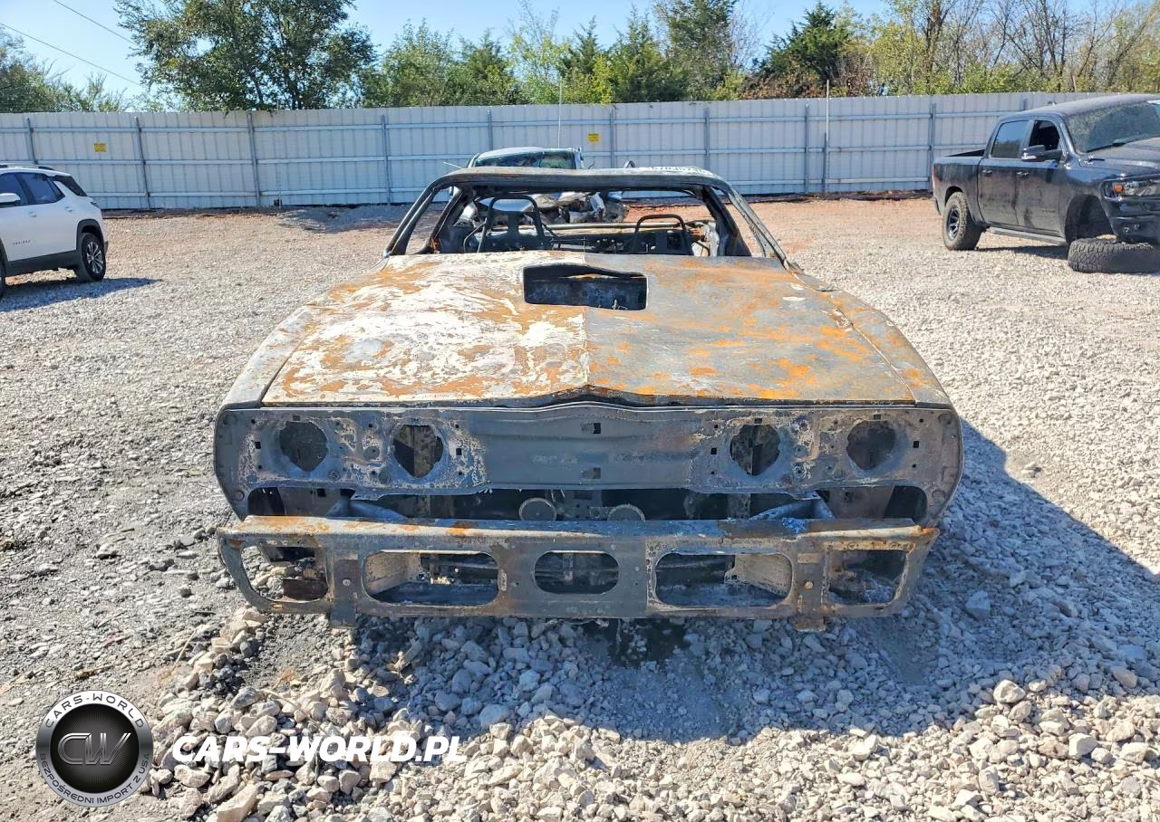 1981 Pontiac Firebird Trans Am VIN:1G2AW87W2BL103910 - 5