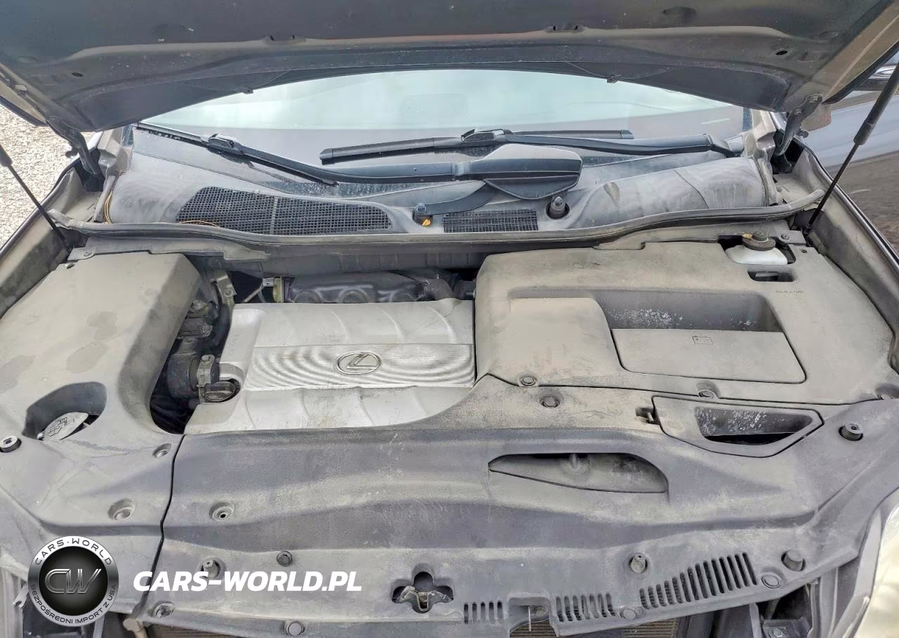 2010 Lexus Rx 350 VIN:JTJZK1BA3A2000932 - 11