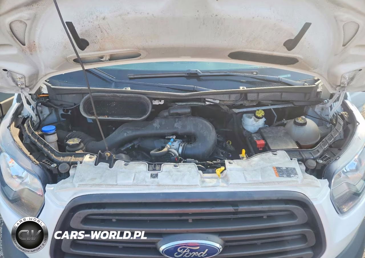 2019 Ford Transit 250 Delivery Van VIN:1FTYR1CM8KKB75021 - 12
