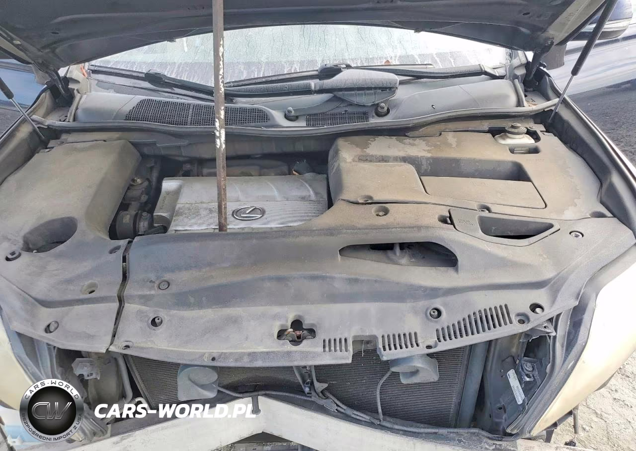 2010 Lexus Rx 350 VIN:2T2BK1BA4AC047162 - 12