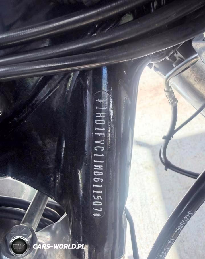 2021 Harley-Davidson Flht VIN:1HD1FVC11MB611507 - 10