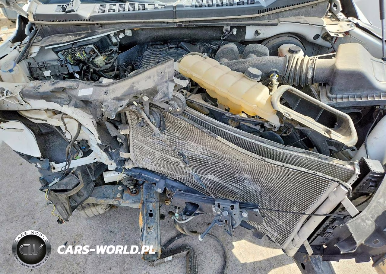 2020 Ford F150 Supercrew VIN:1FTEW1CBXLKD65690 - 11