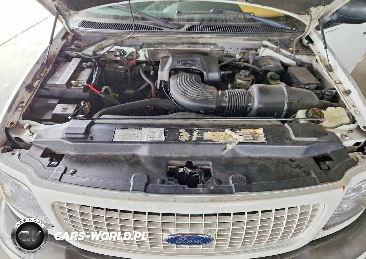 2001 Ford Expedition Xlt VIN:1FMPU16L11LA21669 - 12