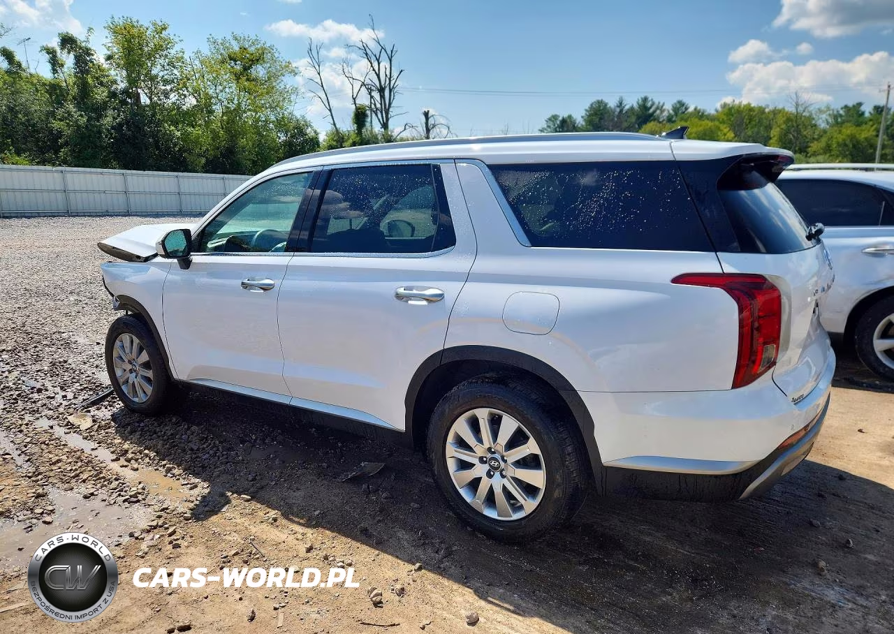 2024 Hyundai Palisade Sel VIN:KM8R2DGE0RU799337 - 2
