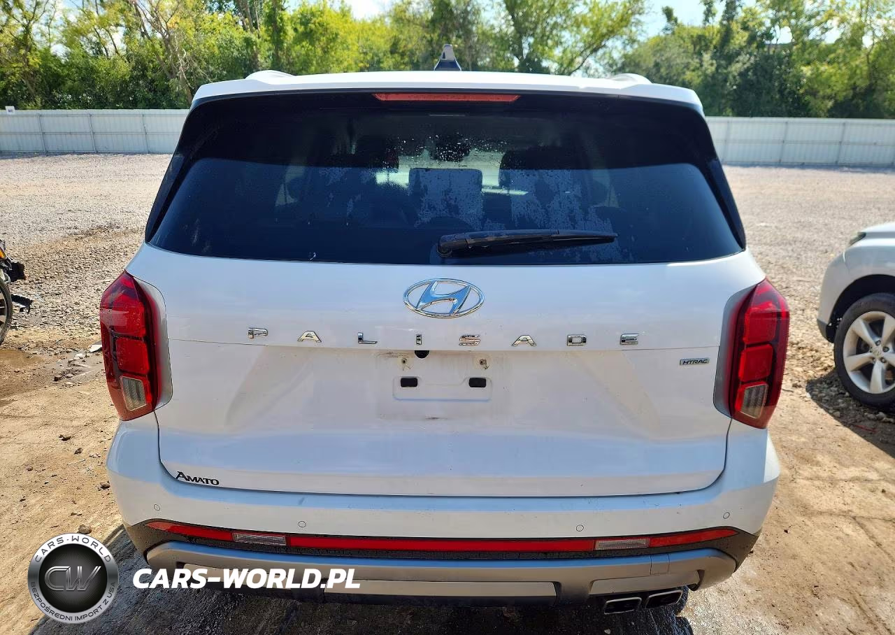 2024 Hyundai Palisade Sel VIN:KM8R2DGE0RU799337 - 6