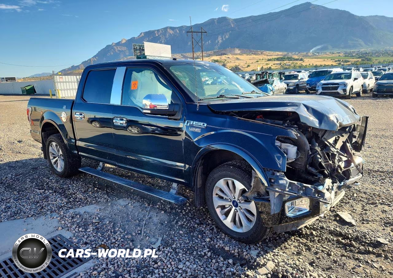 2016 Ford F150 Supercrew VIN:1FTEW1EG1GFD43102 - 4