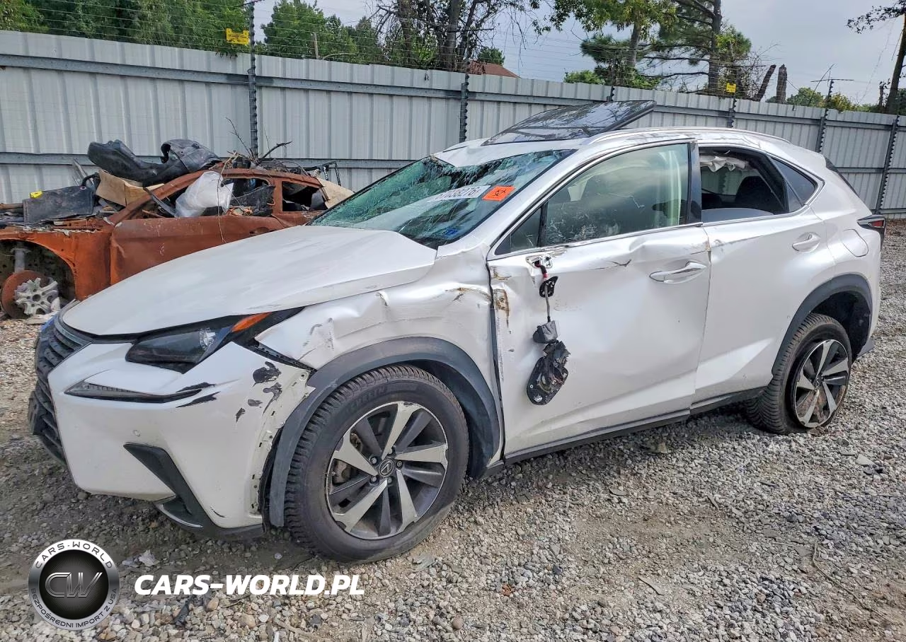 2020 Lexus Nx 300 VIN:JTJGARDZ6L5006446 - 1