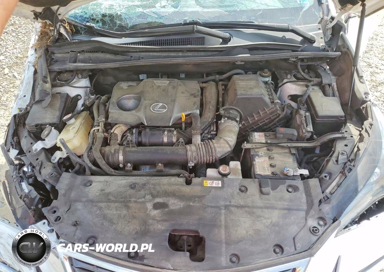 2020 Lexus Nx 300 VIN:JTJGARDZ6L5006446 - 12