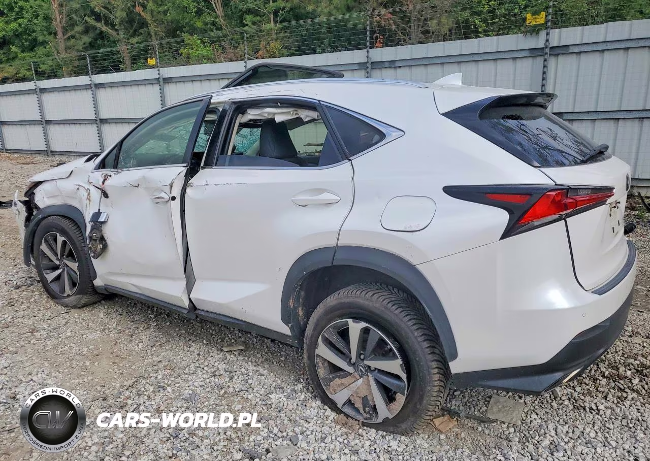 2020 Lexus Nx 300 VIN:JTJGARDZ6L5006446 - 2