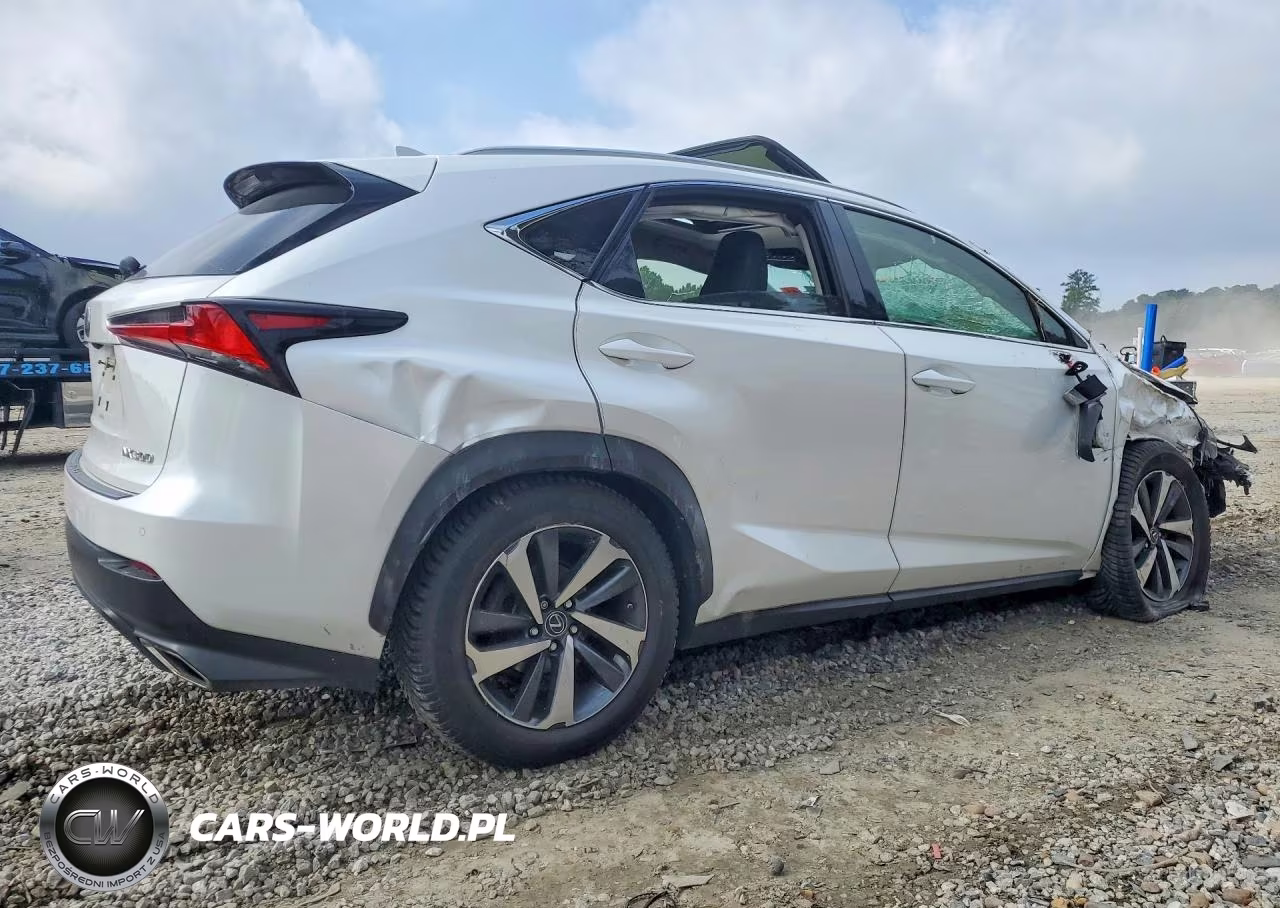 2020 Lexus Nx 300 VIN:JTJGARDZ6L5006446 - 3