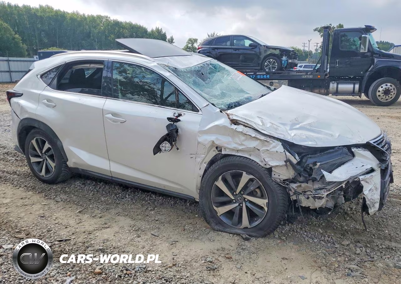 2020 Lexus Nx 300 VIN:JTJGARDZ6L5006446 - 4