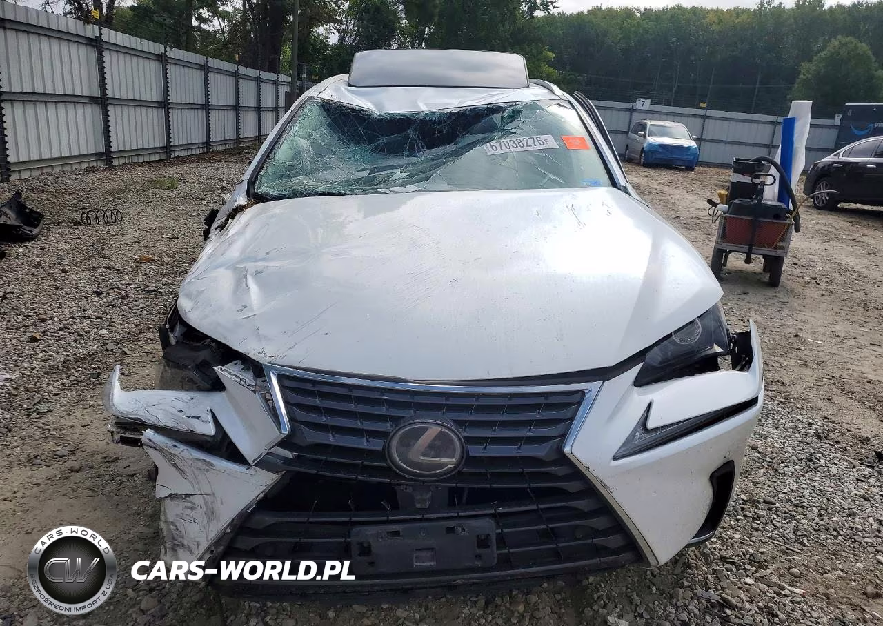 2020 Lexus Nx 300 VIN:JTJGARDZ6L5006446 - 5