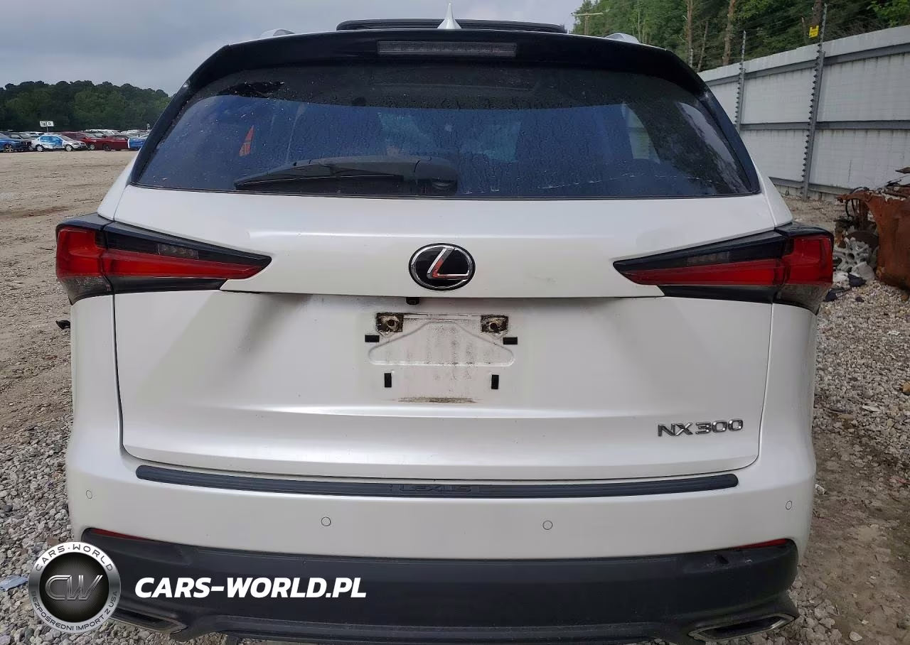 2020 Lexus Nx 300 VIN:JTJGARDZ6L5006446 - 6