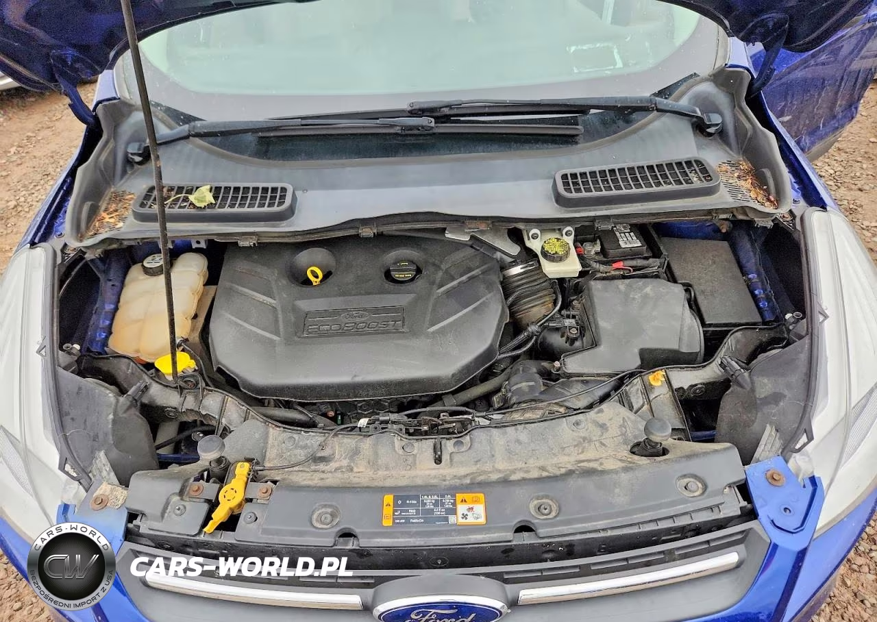 2013 Ford Escape VIN:1FMCU9G92DUA18018 - 12